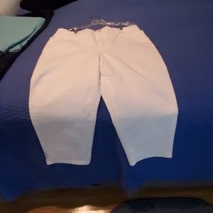 Gloria Vanderbilt Amanda Capris